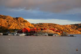 Die natur ist das, was schweden ausmacht. 2 Dav Suhl