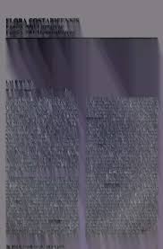 Image result for Synandrodaphne paradoxa