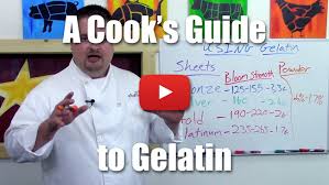 Fs 003 Guide To Gelatin Stella Culinary