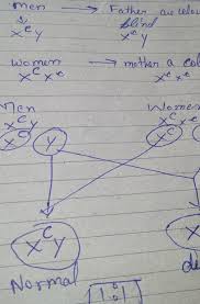 A color blind father and a mother who carries the color blind trait (b) have a boy and a girl. A Man Whose Father Was Color Blind Marries A Women Who Had Color Blind Mother And A Normal Father Brainly In