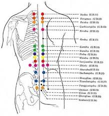 14 chart for acupuncture points for chart acupuncture points