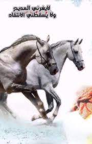 جاليري جنتنا رمزيات كلام عن الخيل 2021 صور خيول مكتوب عليها 2022 in 2021 arabic quotes cool words horse love