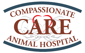 Compassionate care animal hospital, brooklyn park, mn. Compassionate Care Animal Hospital Brooklyn Park Mn