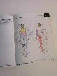 Netter Anatomy Coloring Book Elegant Color Pages Netters Coloringok Netter Anatomy Line Pdf Anatomy Coloring Book Coloring Books Coloring Book Art