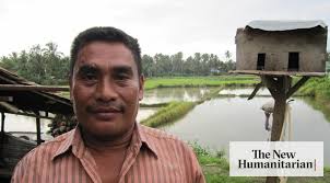 The New Humanitarian