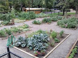 We did not find results for: Join A Community Garden Denver Urban Gardens
