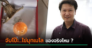 ไขข้อข้องใจ มุกเมโล ของแท้หายาก 12:30 | 9 กุมภาพันธ์ 2564 | 16,011 รูปข่าว : à¹„à¸‚ à¸¡ à¸à¹€à¸¡à¹‚à¸¥ à¸­ à¹€à¸ˆà¸©à¸Žà¸² à¹à¸à¸°à¸ž à¸£ à¸˜ à¸ªà¸‡à¸ª à¸¢à¹ƒà¸Š à¸‚à¸­à¸‡à¸ˆà¸£ à¸‡à¹„à¸«à¸¡ à¸«à¸¥ à¸‡à¸„à¸™à¹€à¸ˆà¸­à¸– à¸à¸ˆ à¸š