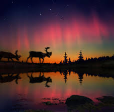 Weitere ideen zu finnland, lappland finnland, polarlichter. Finnland Unterkunfte Mit Blick Auf Die Nordlichter Welt