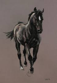Pin By Mehmet Rehber On Random Stuff Horse Painting Horse Drawings Horses