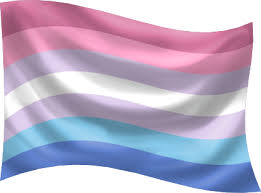 Gender Identity Pride Flags Glyphs Symbols And Icons See more ideas about flag, gender, pie chart. gender identity pride flags glyphs