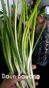 Demikianlah penjelasan terlengkap mengenai √ cara menanam ketumbar bagi pemula terlengkap. Simpan Daun Sup Daun Ketumbar Daun Fabulous Feminine Facebook
