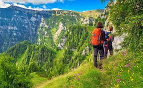 My recent expedition was to the valley of flowers; Valley Of Flowers Trek Best Monsoon Trek Trekkers Of India