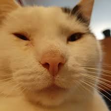 Tails leksaksfigur från Burger King 1996