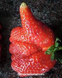 Here S A Little Good Job Strawberry To Get You Through The Day Contact Us Here Ofcoursesocial Gmail Com Weird Fruit Funny Vegetables Funny Fruit