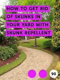 Learn How To Get Rid Of Skunks In Your Yard With Skunk Repellent How To Guides Tips And Tricks Getting Rid Of Skunks Skunk Repellent Home Vegetable Garden