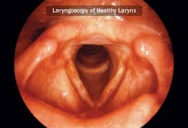 This resource does not discuss benign tumors of the head and neck region, tumors of the thyroid, skin cancers involving the head and neck, auditory. Head And Neck Cancers Symptoms And Treatments