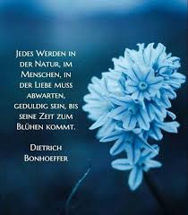 Pin Von Ira Auf Zitate In 2020 Bonhoeffer Zitate Zitate Mein Leben Zitate