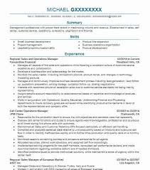 Executive Director Resume Example Association Executives Of North Carolina Wake Forest Nort Executive Resume Template Resume Examples Good Resume Examples