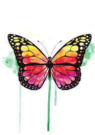 Cuantos Secretos Puedes Guardar Porque Encontre Una Cancion Que Me Hace Pensar En Ti De Alguna M Beautiful Butterflies Art Butterfly Art Beautiful Butterflies