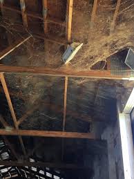 With over 20 years' experience in the industry, we provide honest, effective, timely and professional pest management services to residential and commercial customers! Avid Pest Control Home Facebook