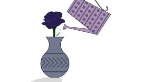 Choose a dark rose variety. 3 Ways To Grow Black Roses Wikihow