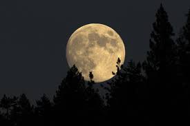 Check out their videos, sign up to chat, and join their community. Endlich Verstehen Warum Kann Man Bei Vollmond Schlechter Schlafen Geo