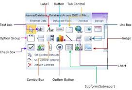 Msaccess Icon 191814 Free Icons Library