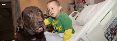 Those medical providers and therapists who support aat believe it has many benefits such as helping with personal and social. Animal Assisted Therapy Beaumont Health