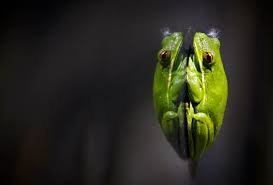 Erica Brough: Year in photos