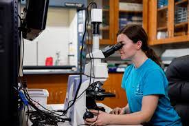 Online medical assistant programs make it easier and more convenient for people to earn a degree and start a career in the medical field, especially for those who already have jobs. Bachelor S Degree In Health Sciences Online Liberty University