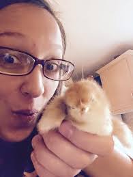 Nine chicks have moved to Chickasaw County. I told them to be nice and  great producers for their new family.