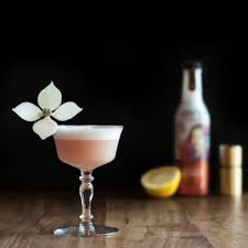 Kousa Dogwood Blossom Edible Flowers Blueberry Syrup Edible