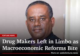 The Kurmuk Project entails a 4.4tn a-year processing plant that will  produce close to 2.4 million ounces over a 12-year mine life based