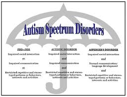 Autism Spectrum Disorder Asd Special Needs