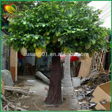 Chinese garden seamless background with tree without leaves on the sky. Indoor Outdoor Chinese Artificial Jack Fruit Trees For Sale Buy Fruit Trees Fruit Trees For Sale Artificial Fruit Trees Product On Alibaba Com