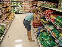 Best Dog Puppy Food Healthy Paws