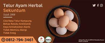 Kami sediakan produk unggas, telur ayam. Telur Sekuntum Herbal Way Halim Facebook