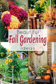 11 Fresh Ideas For Fall Gardens The Honeycomb Home In 2020 Fall Garden Decor Autumn Garden Fall Container Gardens