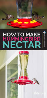 Mar 15, 2019 · this hummingbird sweet treat can be made right at home with a few simple ingredients. How To Make Hummingbird Nectar A Few Shortcuts
