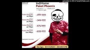 Pasalnya ada paket internet yang bisa diatur sesuai kebutuhan sipelanggan indihome tersebut. Indihome Paket Phoenix But It S Megalovania