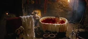 pin by rico on roses of the moon bathory legend bathory elizabeth bathory elisabeth bathory