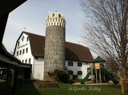 Genki Kitty S Blog Leaning Tower Of Pisa Middlebury Empire State Building