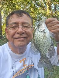 Anyone with cut or whole shad in euless/north arlington area?