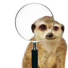 Aarp is a nonprofit, nonpartisan organization that empowers people to choose how they live as they age. Solved How To Unlock A Telus Iphone And How Much Is It Telus Neighbourhood