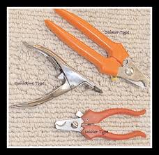 For most puppies, human nail clippers followed by nail scissors is a great choice. How To Clip Dog Nails Fool Proof Method