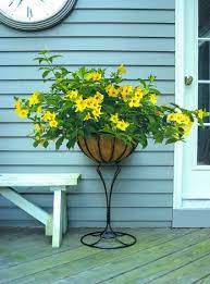 Pin On Gardening In San Antonio And South Texas