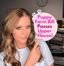 BREAKING: Bill to outlaw puppy farming PASSED in the Upper House late last  night