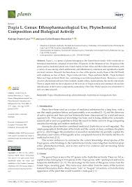 Image result for Tragia okanyua