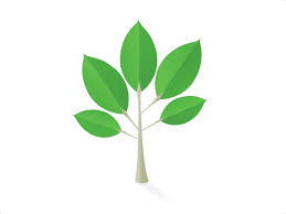 Growing Tree Svg Animation Tree Illustration Growing Tree Plant Illustration