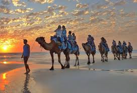 Find reviews, ratings & map of nearby places. Blue Camel Safari Review Of Broome Camel Safaris Broome Australia Tripadvisor